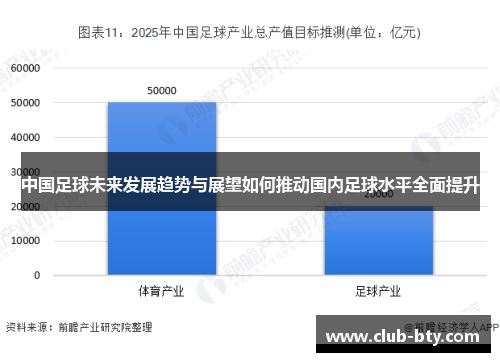 中国足球未来发展趋势与展望如何推动国内足球水平全面提升