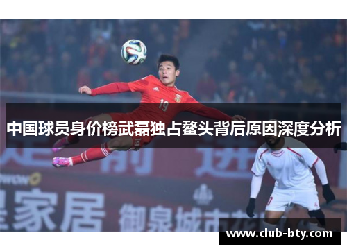 中国球员身价榜武磊独占鳌头背后原因深度分析